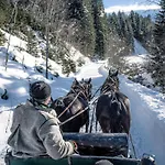 Bergchalet Breitenberg Бад Хофгаштайн