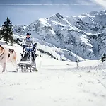 Шале Bergchalet Breitenberg