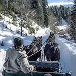 Bergchalet Breitenberg Шале Бад Хофгаштайн