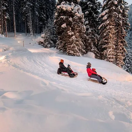 Bergchalet Breitenberg Domek alpejski *